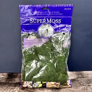 SuperMoss 21703 Reindeer Moss Preserved Forest Green Color Enhanced - Picture 1 of 6