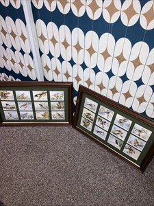 Vintage Set Of Imperial Picture Cards Game British Birds 1-24 Unglazed - Picture 1 of 11