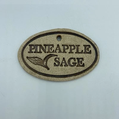 Маркер садовый ананас шалфей терракота камень материал канадские цветы знак 4,5 дюйма - Изображение 1 из 2