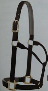Halter acolchado de cuero Weaver no Adj, caballo pequeño negro - Imagen 1 de 2