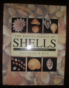 Encyclopedia of Shells - Hardcover By Wye, Kenneth R LIKE NEW - Picture 1 of 1