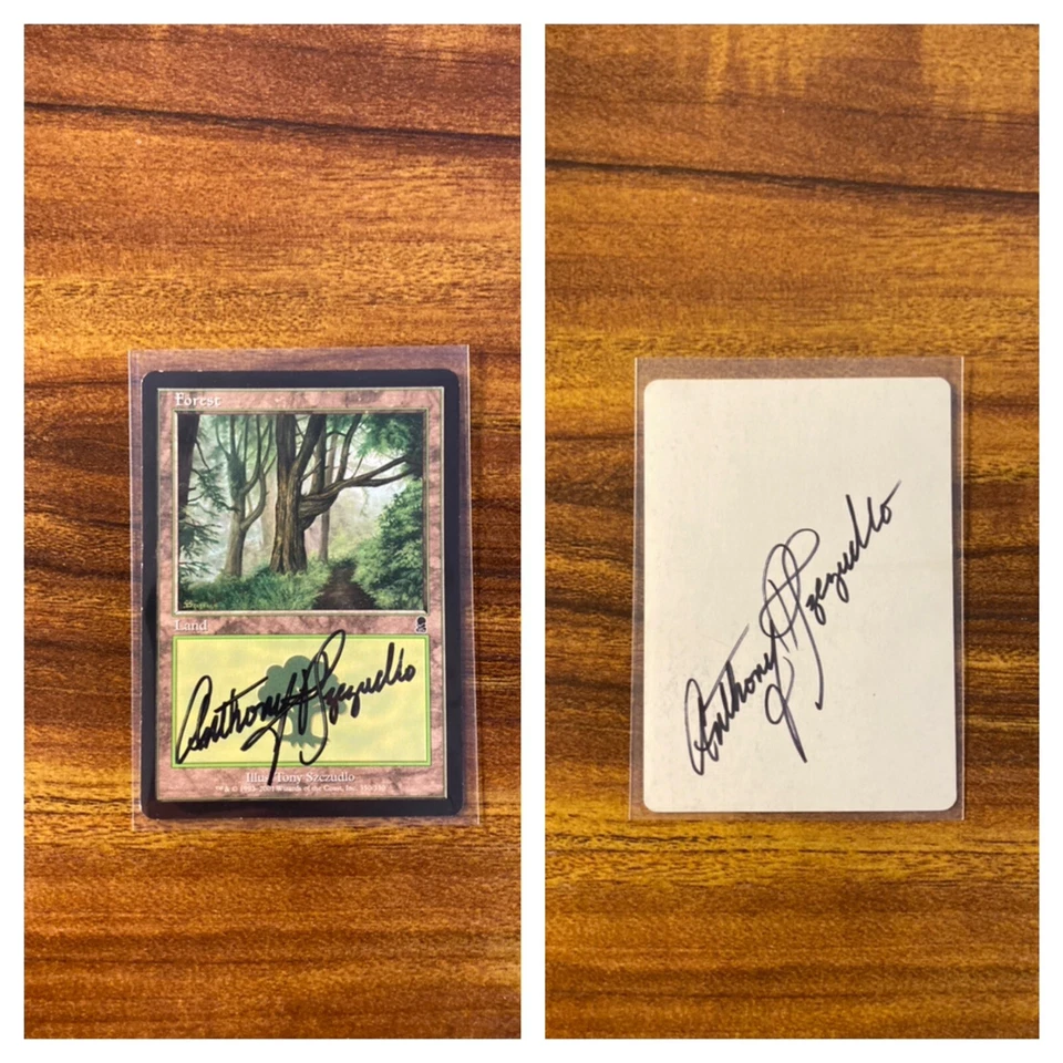 MTG✨Artist Signed FOREST ARTIST PROOF✨Odyssey LP Land 2001 T. Szczudlo Art - Image 1 of 3