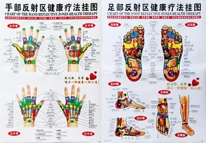 2 Posters Reflective Zones Hands Feet English Chinese 18.25" x 26" Laminated - Picture 1 of 4