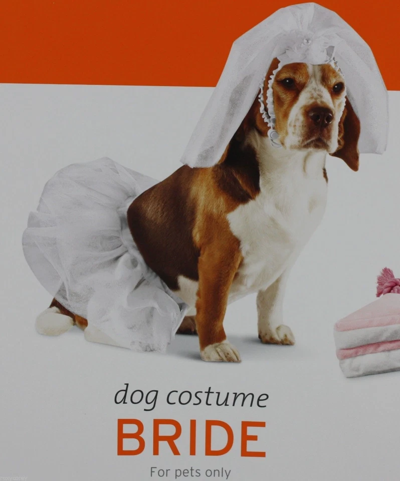 Halloween Wedding Bride Dog Costume White Sparkles Veil Tutu Size Small 5-10 lbs - Image 1 of 1