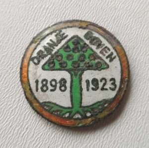 PAESI BASSI Spilla distintivo argento giubileo della regina Guglielmina 1898-1923 - Foto 1 di 4