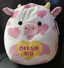 Squishmallows Evangelica Pink Spotted Cow 12" 2023 Valentines Plush. ?Dream Big?