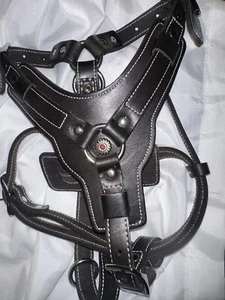 Durable Genuine Leather No Pull Dog Harness Pet Vest Adjustable for Medium Dogs - Picture 1 of 11