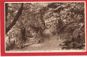 SOMERSET. PORLOCK.  SELWORTHY WOODS  ST AGNES FOUNTAIN + THREE  PATHS - Picture 1 of 1
