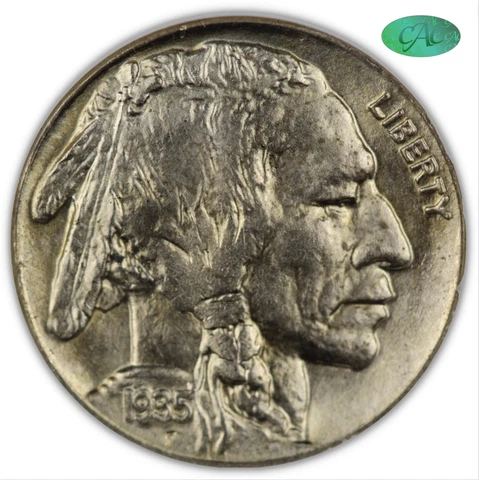 1935 5C Buffalo Nickel NGC MS65 CAC Strong Strike In NGC Fatty Holder Cover