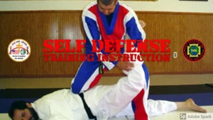 14 Awesome Self Defense Martial Training DVDS $109.00 Free Shipping Best Value - Picture 1 of 1