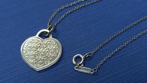 Tiffany & Co.  2016 GO WOMEN Necklace 925 Sterling Silver - Picture 1 of 7