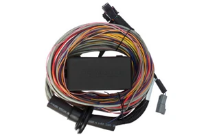 Haltech ECU Elite 750 Premium Universal Wirein Harness LENGTH: 2.5m 8 - Picture 1 of 1