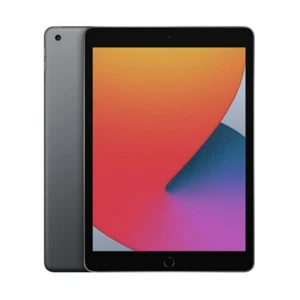 iPad 7th Gen 10.2in 2019 32GB Space Grey Wi-Fi Only  - Excellent Condition - Afbeelding 1 van 5