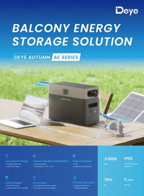 Acumulador de batería Deye 2000W AE-FS2.0 + Inversor 1KW energía solar balcón