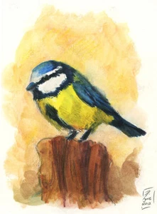 Watercolor BLUE TIT bird Original Art Artwork Painting 4" x 6" - Brandy Woods - Picture 1 of 1