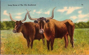 Postal Cuernos Largos del Ole Southwest Lino Sin Publicar - Imagen 1 de 2