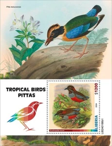 Tropical Birds Pittas MNH Stamps 2024 Liberia S/S - Picture 1 of 1