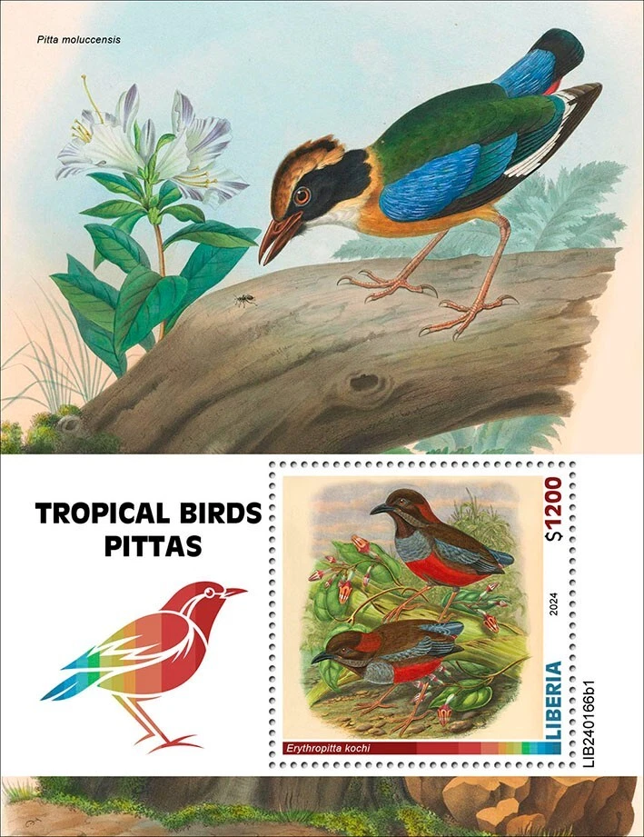 Estampillas de aves tropicales Pittas MNH 2024 Liberia S/S Foto 1 de 1