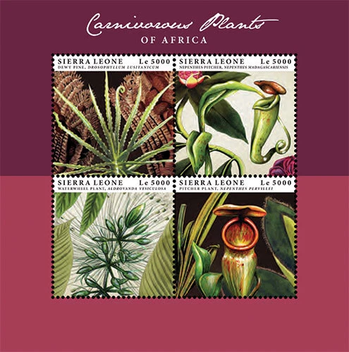 Sierra Leone 2012 - Carnivorous Plants - Sheet of 4 Stamps - Scott #3156 - MNH - Image 1 of 1