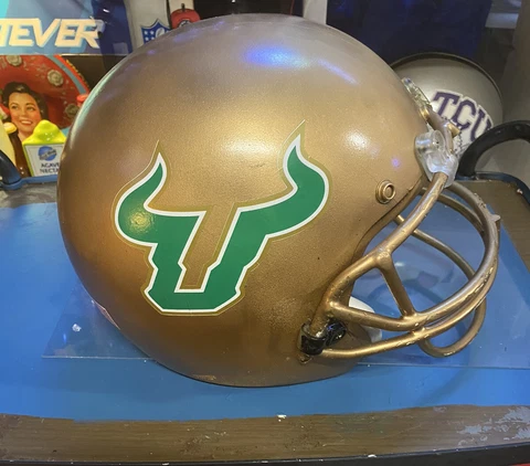 SOUTH FLORIDA BULLS FULL SIZE REPLICA FOOTBALL HELMET Cover