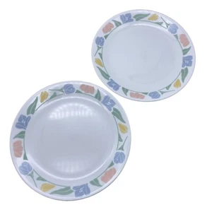 Vintage Corelle Friendship floral dinner plate set of 2 corning USA 10.25" - Picture 1 of 6
