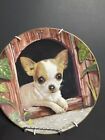 Assiette argent édition limitée The Danbury Chihuahua In the Doghouse par John 