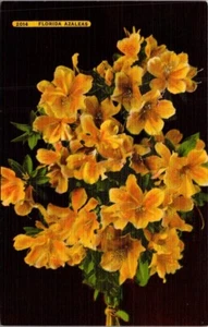 Postal de lino con flores de Florida Azaleas - Imagen 1 de 2