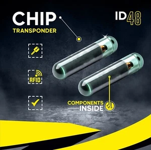 ★2x Transponder Wegfahrsperre Glas Chip ID48 für FIAT DOBLO DUCATO PALIO PUNTO★ - Picture 1 of 3