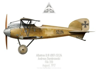 Print Albatros D.III, Andreas Dombrowski, Flick 31D, 1917 (by D. Douglass) - Photo 1/4
