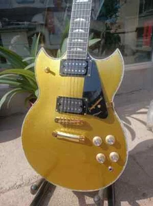 Hot sale electric guitar gold and silver paint, ebony fingerboard, ABR-1 bridge - Picture 1 of 13
