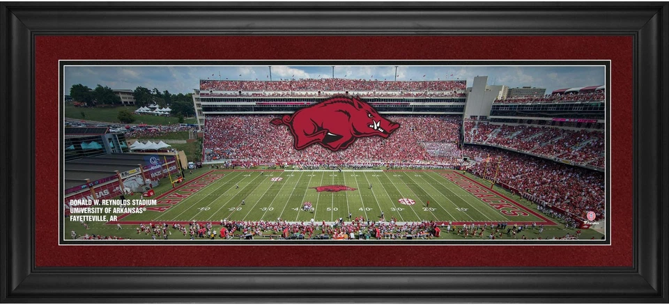 Arkansas Razorbacks Frmd 10" x 30" Donald W. Reynolds Stadium Panoramic Photo - Image 1 of 1