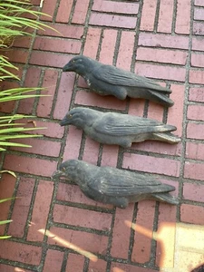 Vintage paper mache glass black crow Decoy - Murder of Crows - 3 Halloween decor - Picture 1 of 24