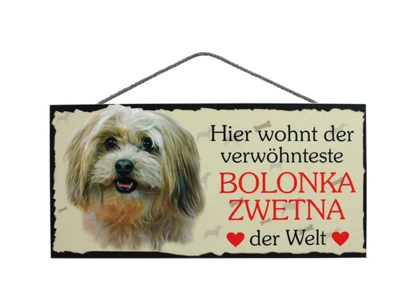 Türschild Bolonka Zwetna, Tierschild Hund aus Holz, Holzschild, Herstellung D - Bild 1 von 1