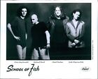 1993 Musician School Of Fish Chris Macdonald Chad Fischer Ward 8X10 Press Photo