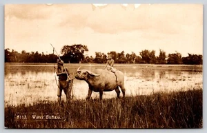 Postal RPPC Niño malasio montando un búfalo de agua en los campos agrícolas - Imagen 1 de 2