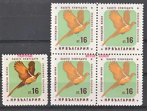 1961 Bulgaria ERRORE francobollo uccellini protetti colore MNH ** Blocco di 4!!! RRRR - Foto 1 di 1