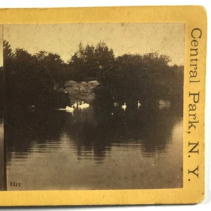American Scenery Stereoview Card Central Park New York Swans In Pond - Picture 1 of 3