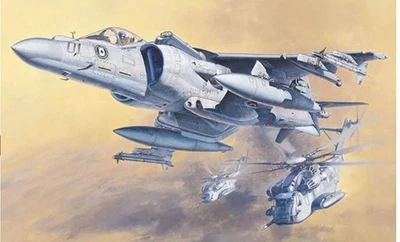 1:48 Hasegawa Av-8B Harrier Ii Plus Ha07228 Kit HASPT28 Modellino - Immagine 1 di 2