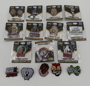 16 Wrestling Pins aus Pro Wrestling Crate Neu & Gebraucht Ric Flair Kong - Bild 1 von 5