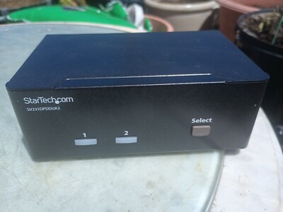 StarTech SV231DPDDUA2 2-Port KVM Switch 