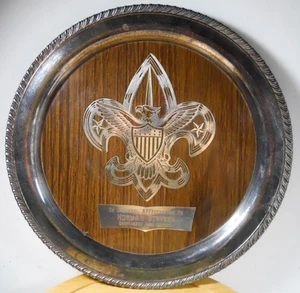BSA Boy Scouts America Wm 1973 Bandeja A. Rogers Oneida Okefenokee Council Georgia - Imagen 1 de 12