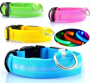 COLLARE LED Animale Animale Cane Notturno Imbracatura Guinzaglio Luce Taglia grafico XS S M L XL - Foto 1 di 21