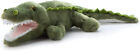 Green Alligator 16