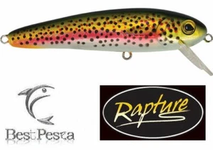 RAPTURE - SUPER DEXTER 11cm 32gr RT - Sinking - Imagen 1 de 1