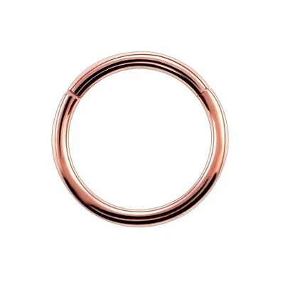 Anillo de nariz segmento con bisagras de titanio clicker tabique labio oreja pendiente aro de cartílago Foto 1 de 4