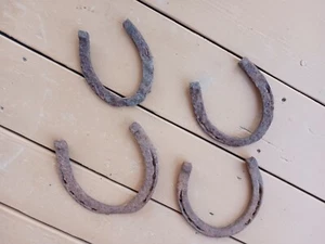 4 Horse Shoes Horse Shoe; Horseshoe; Horseshoes Camp Church Backyard Sports Pit - Picture 1 of 12