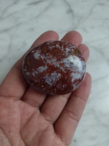 Ozeanjaspis Palmenstein Madagaskar Jaspis poliert Display Trommelstein A - Bild 1 von 7