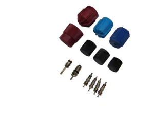 For 1980-1991 Peugeot 505 A/C System Valve Core and Cap Kit 21414GXST 1981 1982 - Picture 1 of 2