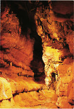South Cavern Cave of the Mounds at Brigham Farm, Blue Mounds, Wisconsin Postcard