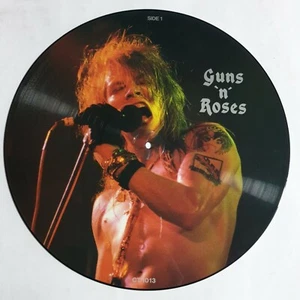 GUNS N' ROSES - 'The Chris Tetley Interviews' 12" Vinyl LP Record PICTURE DISC - Picture 1 of 6